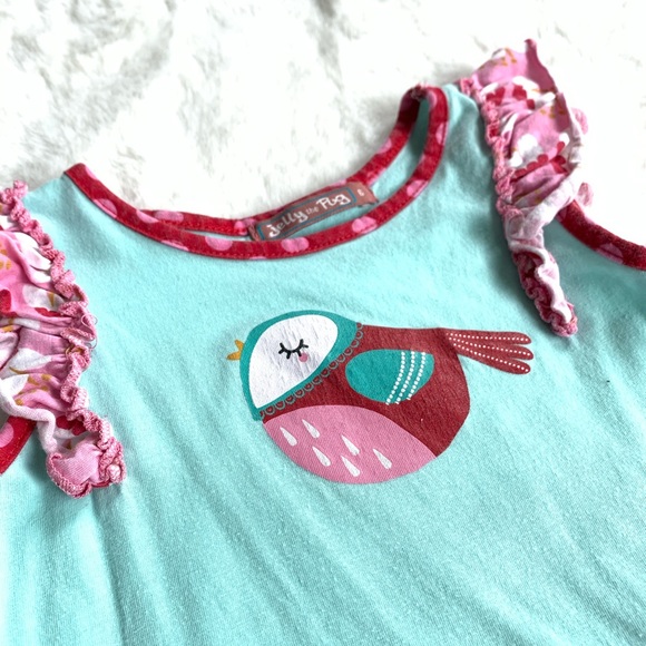 Jelly the Pug Teal Pink Ruffle Dress Size 5 - Picture 4 of 4